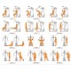 Home GYM HG 412